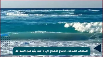 اضطراب الملاحة.. ارتفاع الأمواج إلى 3 أمتار يثير قلق السواحل‬